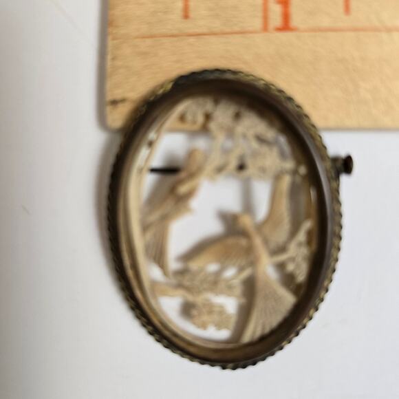 Depose France Celluloid Gold Bird Oval Brooche Ornate Carved Antique Read - Picture 6 of 8